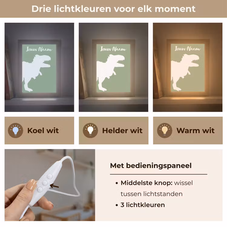 Dino - T-rex - Dinosaurus - Groen - Tyrannosaurus rex Light Box met kabel (Kinderlampje) klein -USP_lichtkleurNL