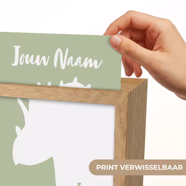Dino - Triceratops - Dinosaurus - Groen Light Box met kabel (Kinderlampje) klein -USP_websiteprintNL