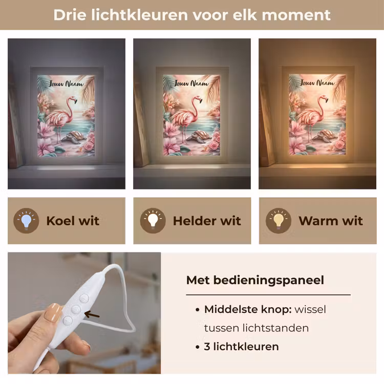 Flamingo - Schildpad - Roze Light Box met kabel (Kinderlampje) klein -USP_lichtkleurNL