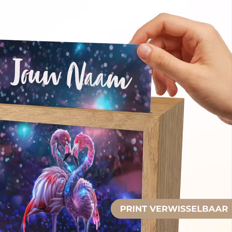 Flamingo's - Dieren - Ruimte - Galaxy Light Box met kabel (Kinderlampje) klein -USP_websiteprintNL