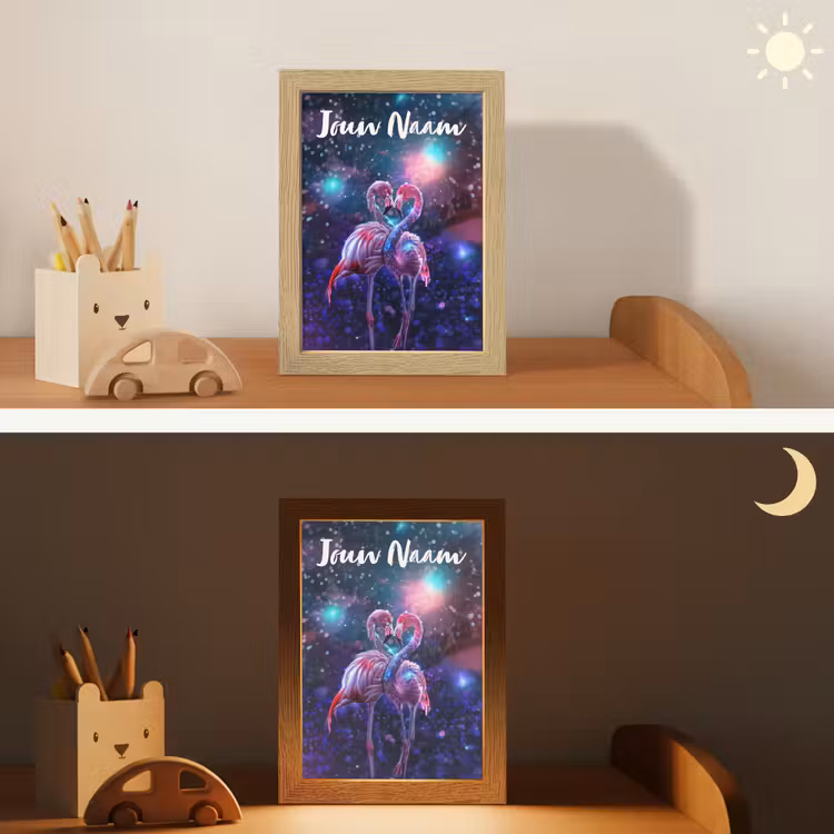 Flamingo's - Dieren - Ruimte - Galaxy Light Box met kabel (Kinderlampje) klein -sfeer3_kind