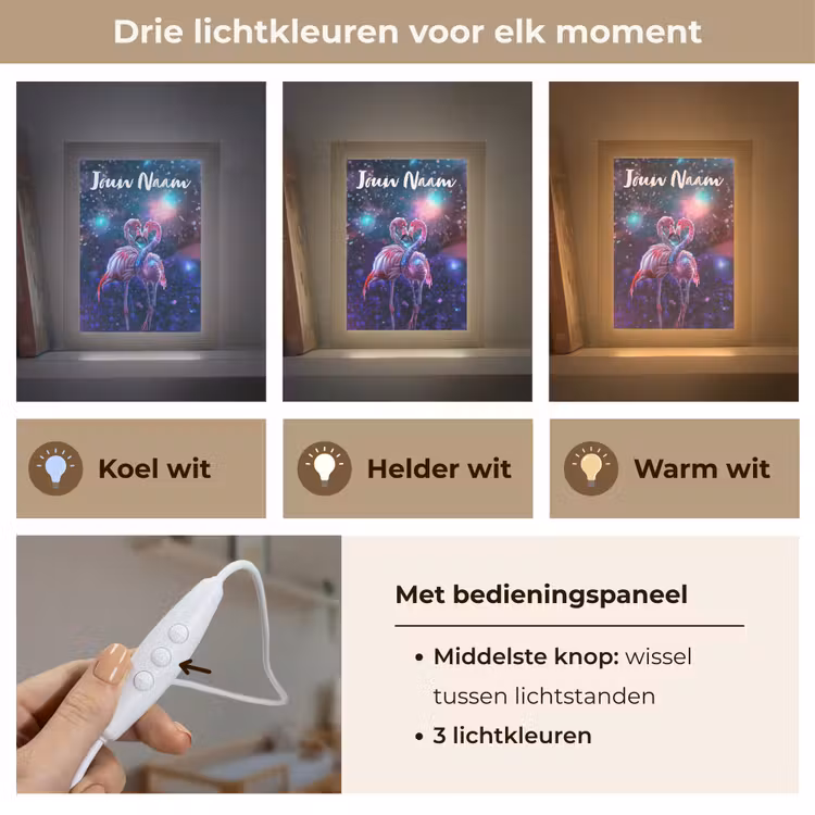 Flamingo's - Dieren - Ruimte - Galaxy Light Box met kabel (Kinderlampje) klein -USP_lichtkleurNL