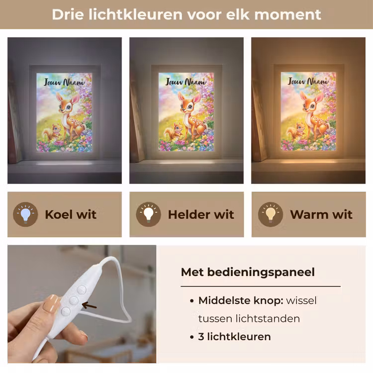 Hertje - Eekhoorn - Bloemenveld - Kleurrijk Light Box met kabel (Kinderlampje) klein -USP_lichtkleurNL