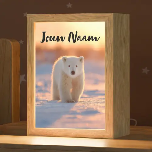 Ijsbeer - Sneeuw - Zonsopgang Light Box met kabel (Kinderlampje) klein -zzz_3d_website