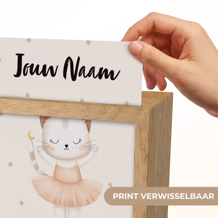 Kat - Tutu - Kroontje - Stippen Light Box met kabel (Kinderlampje) klein -USP_websiteprintNL