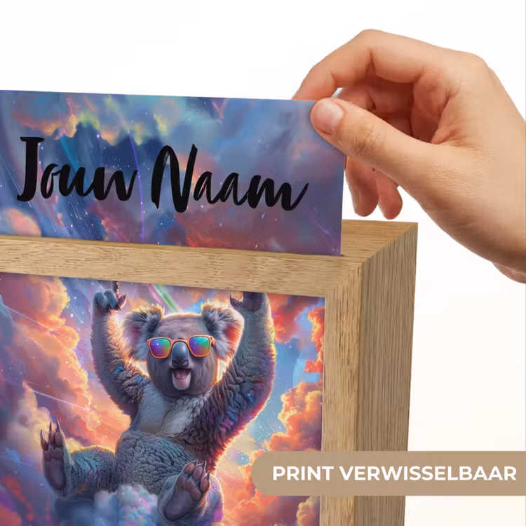 Koala - Dier - Zonnebril - Wolken Light Box met kabel (Kinderlampje) klein -USP_websiteprintNL