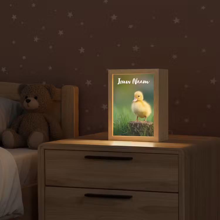 Kuiken - Eend - Geel - Gras Light Box met kabel (Kinderlampje) klein -sfeer1_kind