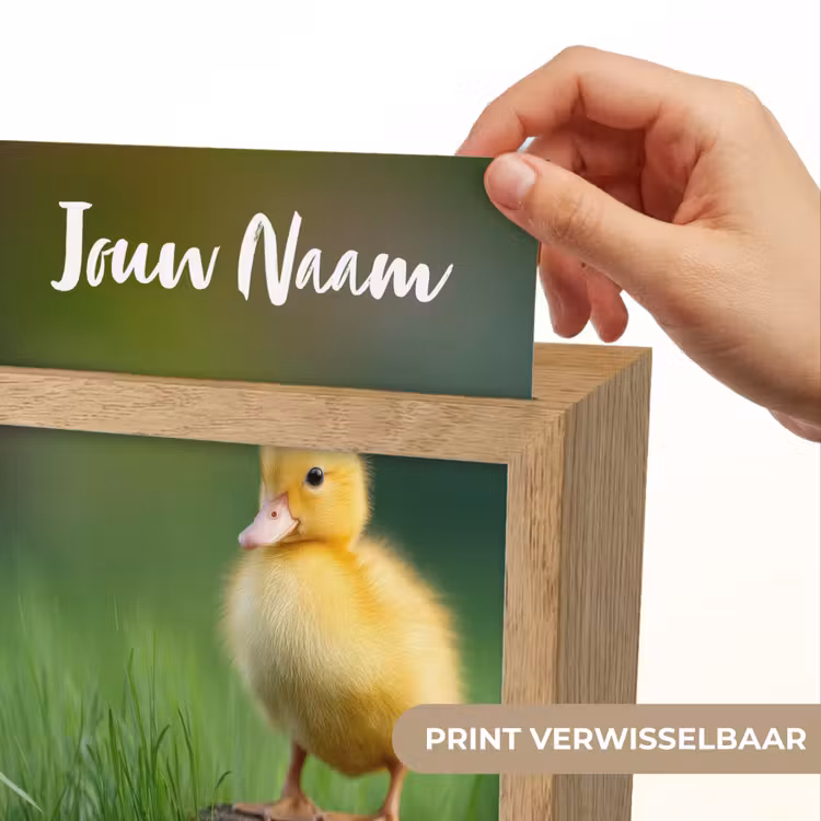 Kuiken - Eend - Geel - Gras Light Box met kabel (Kinderlampje) klein -USP_websiteprintNL
