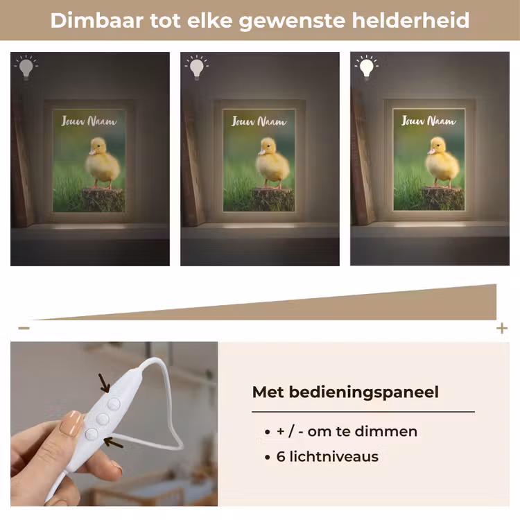 Kuiken - Eend - Geel - Gras Light Box met kabel (Kinderlampje) klein -USP_dimbaarNL