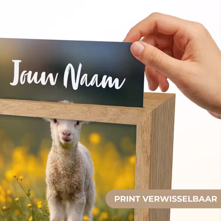 Lammetje - Gras - Bloemen - Geel Light Box met kabel (Kinderlampje) klein -USP_websiteprintNL