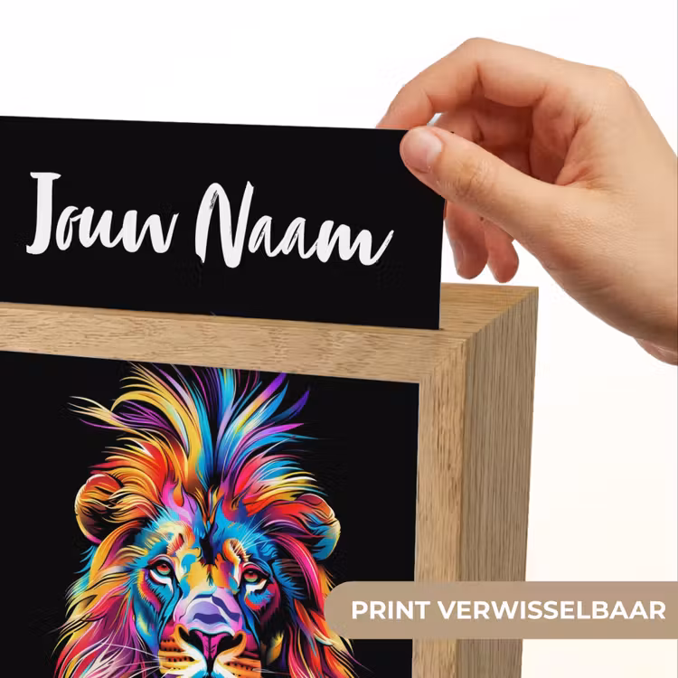 Leeuwen - Kleurrijk - Zwart - Dieren Light Box met kabel (Kinderlampje) klein -USP_websiteprintNL