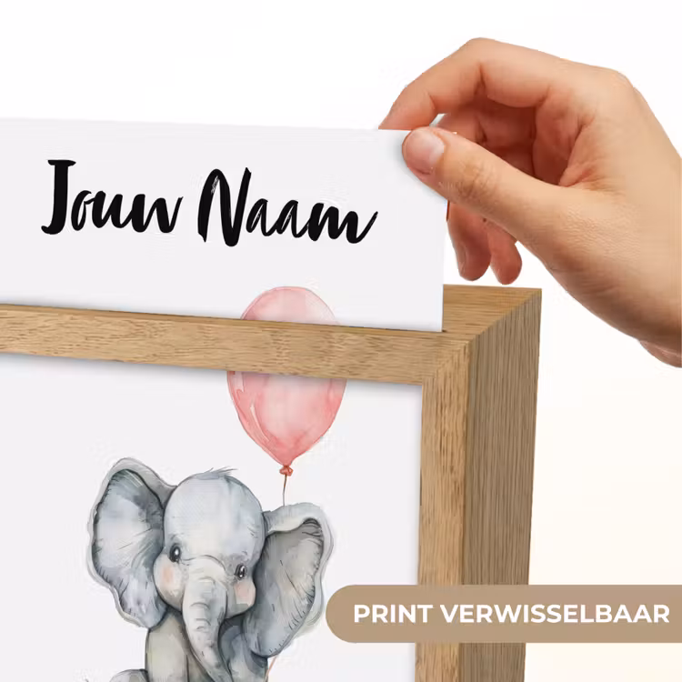 Olifant - Baby dier - Roze ballon Light Box met kabel (Kinderlampje) klein -USP_websiteprintNL