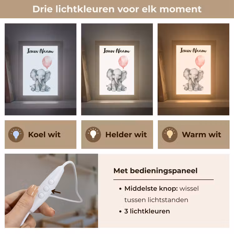 Olifant - Baby dier - Roze ballon Light Box met kabel (Kinderlampje) klein -USP_lichtkleurNL