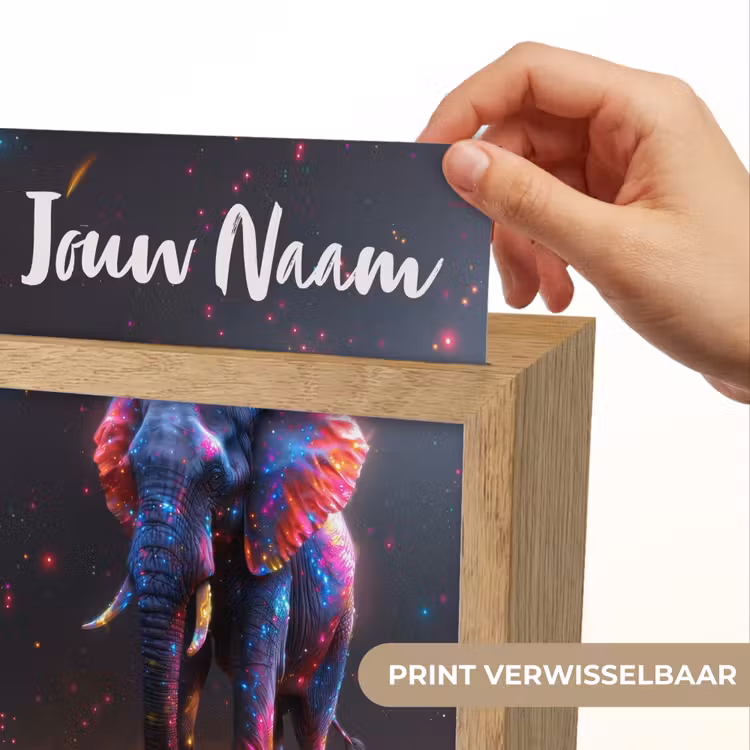 Olifant - Kleuren - Sterren - Dier Light Box met kabel (Kinderlampje) klein -USP_websiteprintNL