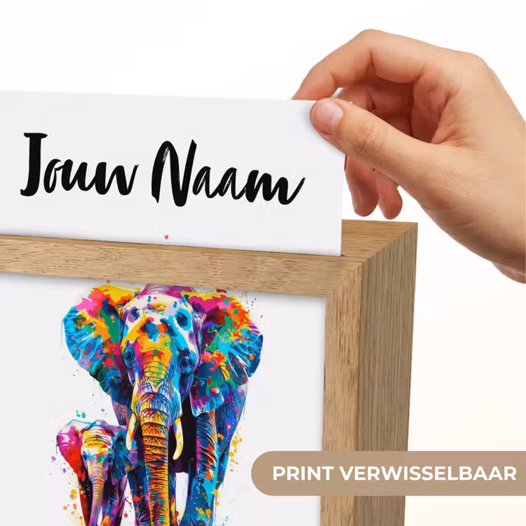 Olifanten - Dieren - Verf - Kleurrijk Light Box met kabel (Kinderlampje) klein -USP_websiteprintNL