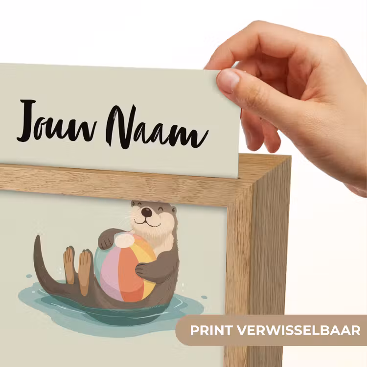 Otter - Strandbal - Kleurrijk Light Box met kabel (Kinderlampje) klein -USP_websiteprintNL