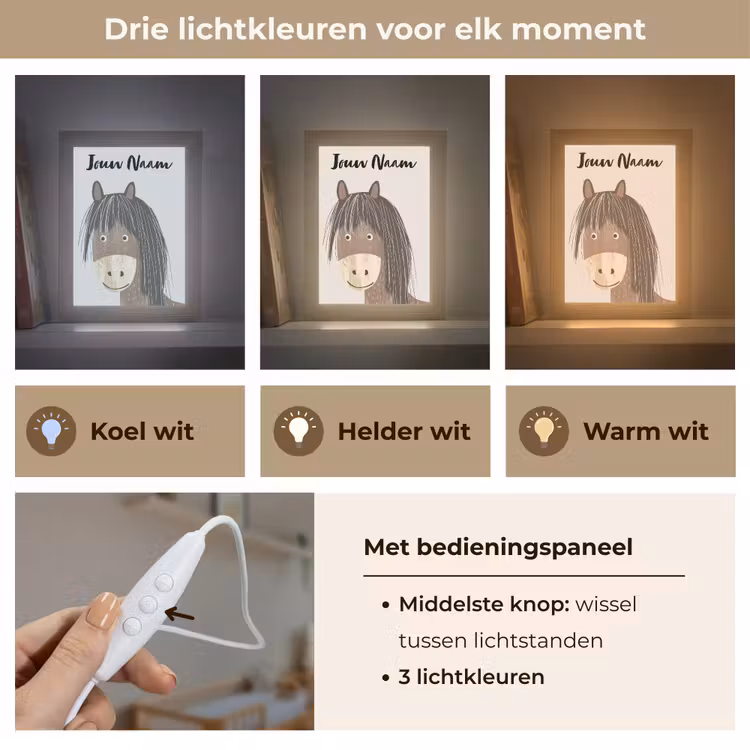 Paard - Dier - Pastel kleuren - Paarden Light Box met kabel (Kinderlampje) klein -USP_lichtkleurNL