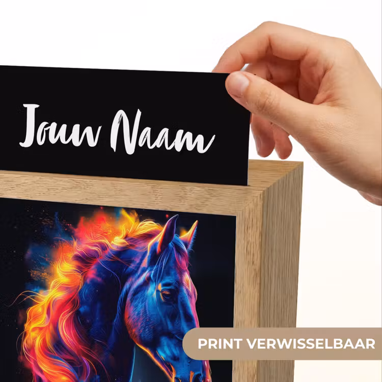 Paard - Dier - Rook - Zwart - Kleuren Light Box met kabel (Kinderlampje) klein -USP_websiteprintNL