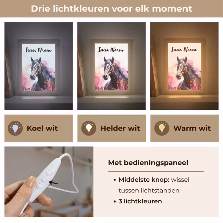 Paard - Dieren - Meisje - Roze Light Box met kabel (Kinderlampje) klein -USP_lichtkleurNL