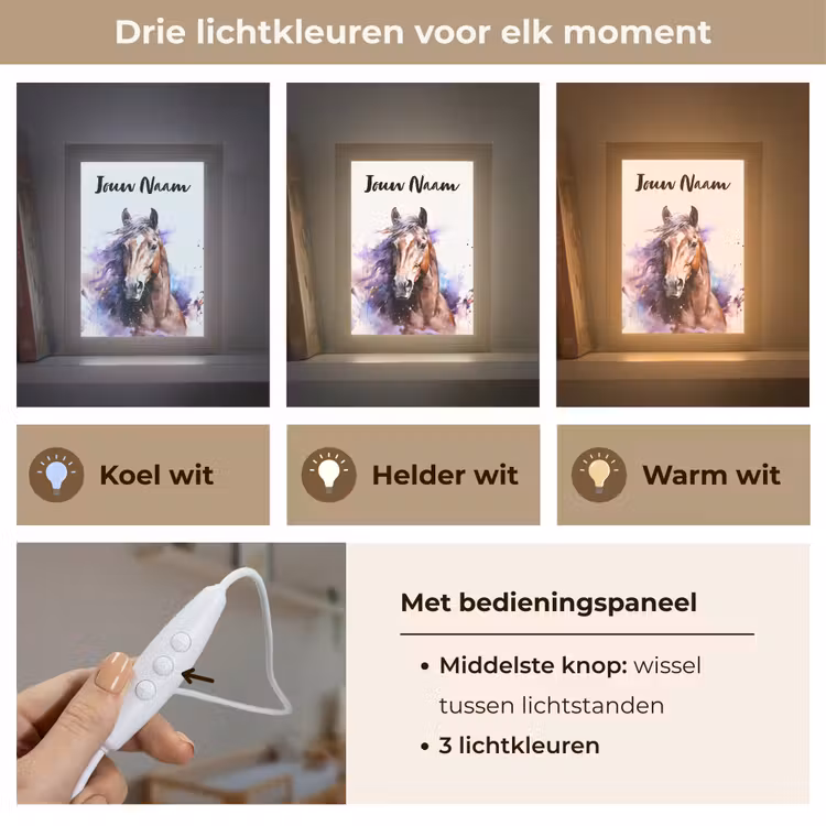 Paard - Dieren - Meisjes - Paars - Bruin Light Box met kabel (Kinderlampje) klein -USP_lichtkleurNL