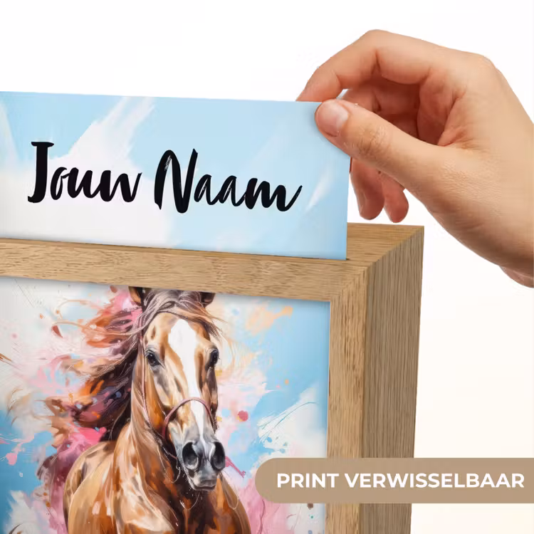 Paard - Meisjes - Blauw - Roze Light Box met kabel (Kinderlampje) klein -USP_websiteprintNL