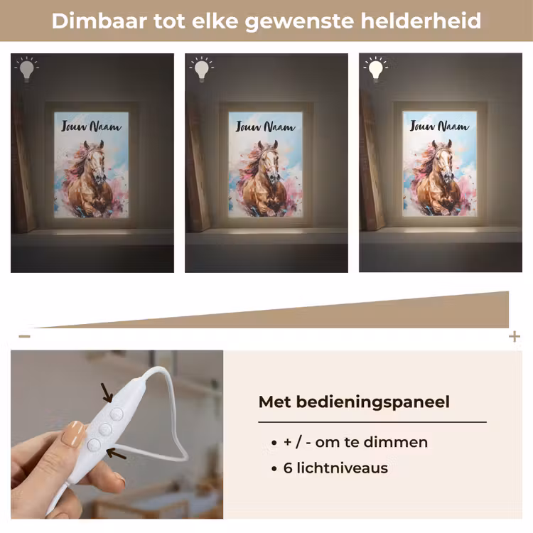 Paard - Meisjes - Blauw - Roze Light Box met kabel (Kinderlampje) klein -USP_dimbaarNL