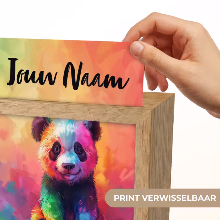 Panda - Dieren - Kleurrijk - Neon Light Box met kabel (Kinderlampje) klein -USP_websiteprintNL