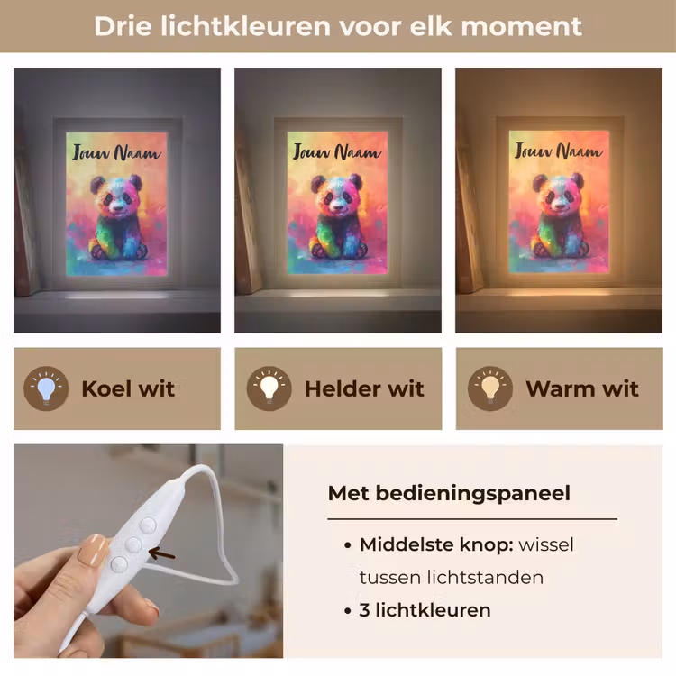 Panda - Dieren - Kleurrijk - Neon Light Box met kabel (Kinderlampje) klein -USP_lichtkleurNL