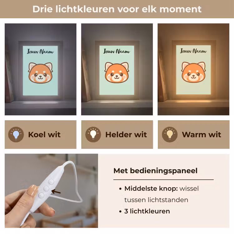 Panda - Groen - Cartoon Light Box met kabel (Kinderlampje) klein -USP_lichtkleurNL