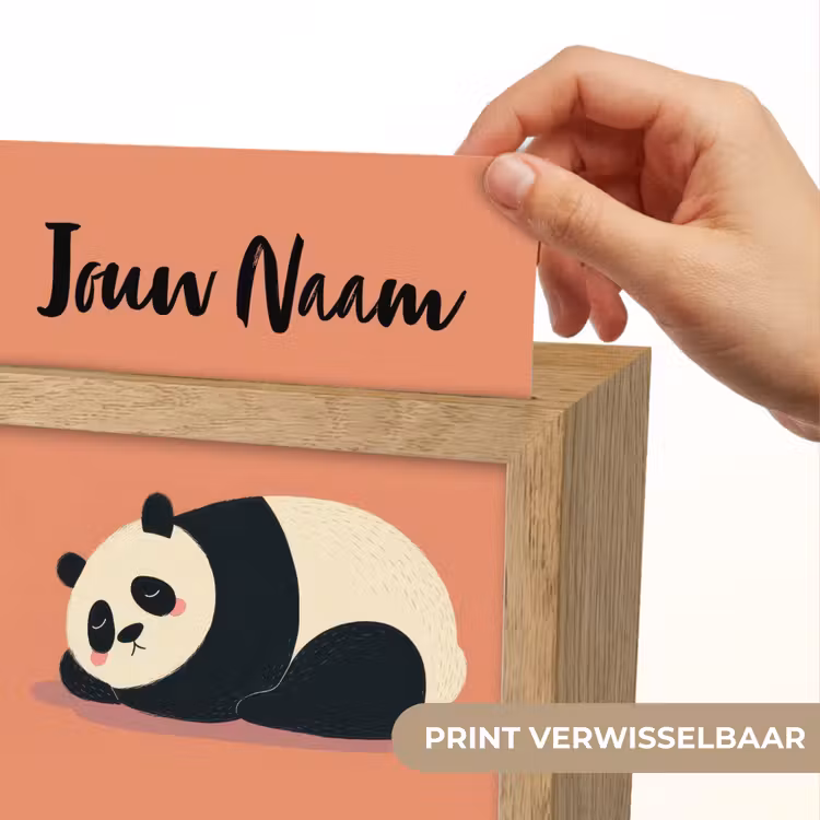 Panda - Slaap - Oranje Light Box met kabel (Kinderlampje) klein -USP_websiteprintNL