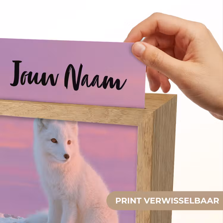 Poolvos - Sneeuw - Roze Light Box met kabel (Kinderlampje) klein -USP_websiteprintNL