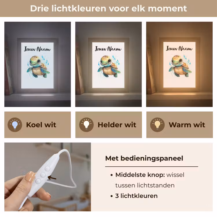 Schildpad - Waterverf - Kleuren - Dieren - Meisjes - Jongens Light Box met kabel (Kinderlampje) klein -USP_lichtkleurNL