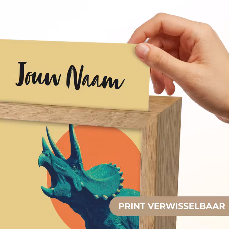 Triceratops - Hoorns - Cirkel - Oranje Light Box met kabel (Kinderlampje) klein -USP_websiteprintNL