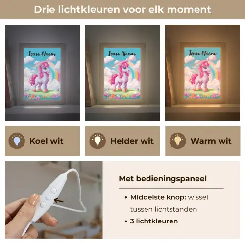 Unicorn - Meisjes - Bloemen - Regenboog - Eenhoorn Light Box met kabel (Kinderlampje) klein -USP_lichtkleurNL