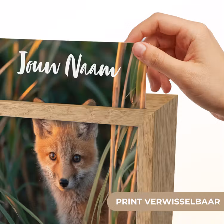 Vos - Oranje - Gras Light Box met kabel (Kinderlampje) klein -USP_websiteprintNL