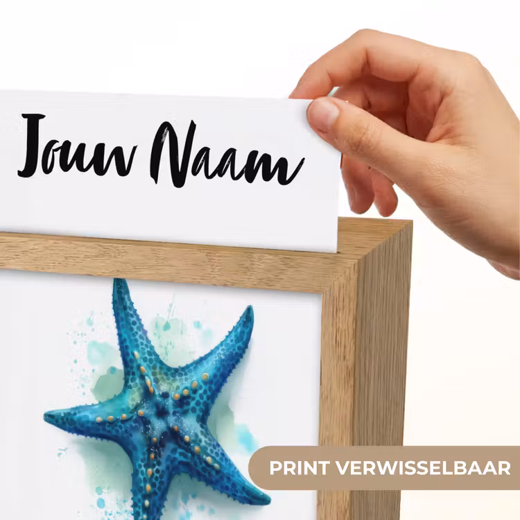 Zeester - Blauw - Spetters Light Box met kabel (Kinderlampje) klein -USP_websiteprintNL