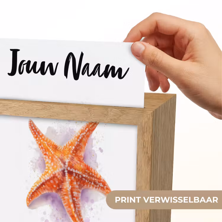Zeester - Oranje - Paars Light Box met kabel (Kinderlampje) klein -USP_websiteprintNL