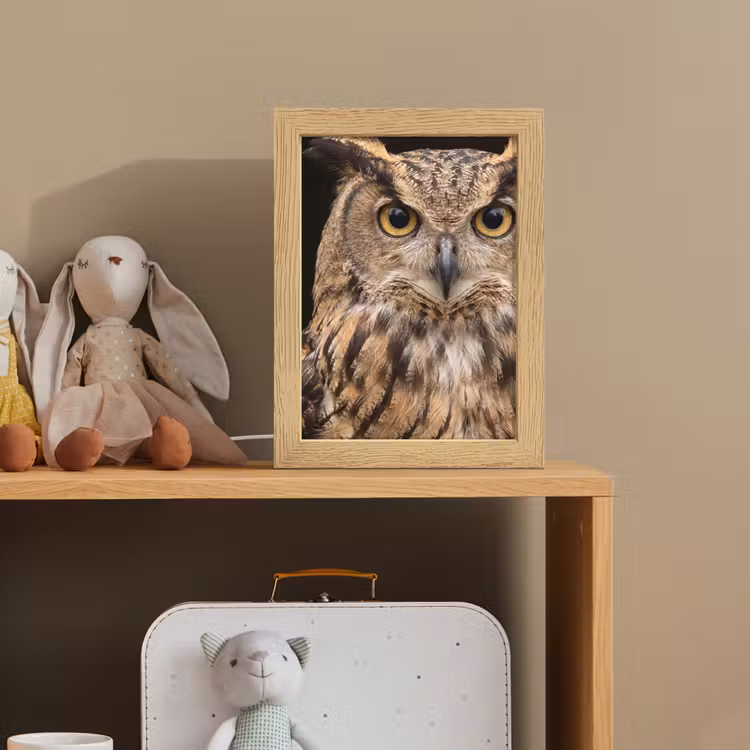 Oehoe - Uil - Portret - Bruin Light Box met kabel (Kinderlampje) klein -sfeer2_kind