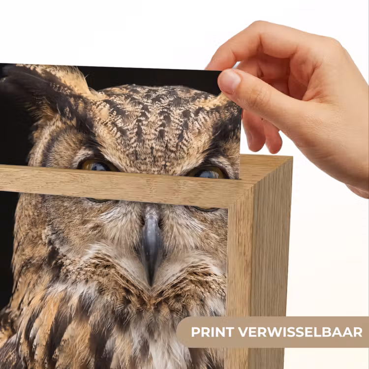 Oehoe - Uil - Portret - Bruin Light Box met kabel (Kinderlampje) klein -USP_websiteprintNL