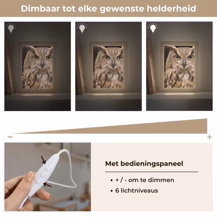 Oehoe - Uil - Portret - Bruin Light Box met kabel (Kinderlampje) klein -USP_dimbaarNL