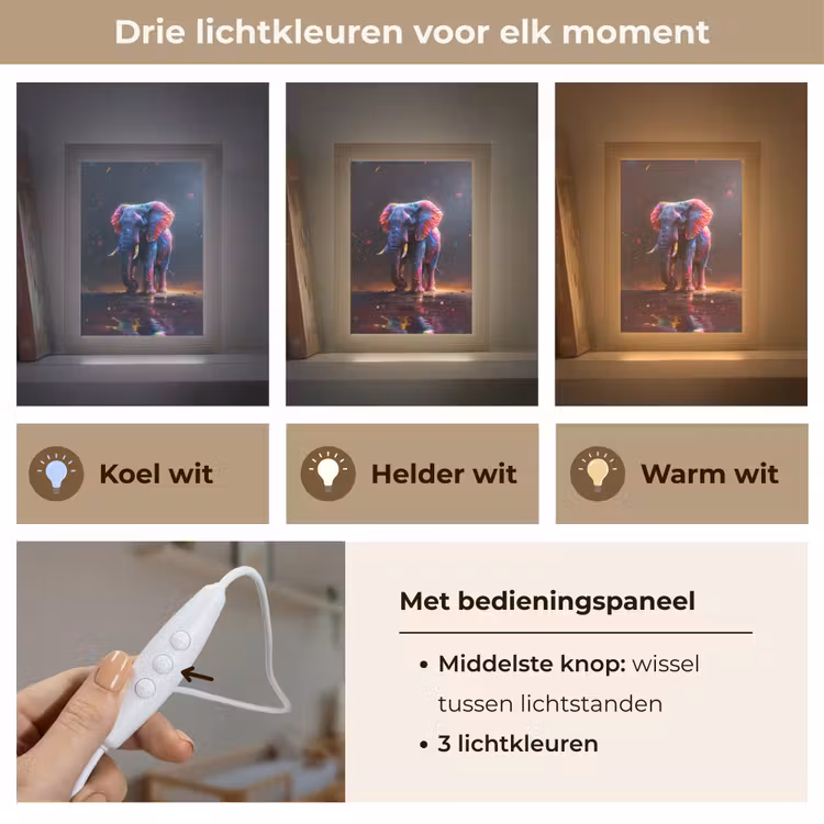 Olifant - Kleuren - Sterren - Dier Light Box met kabel klein -USP_lichtkleurNL