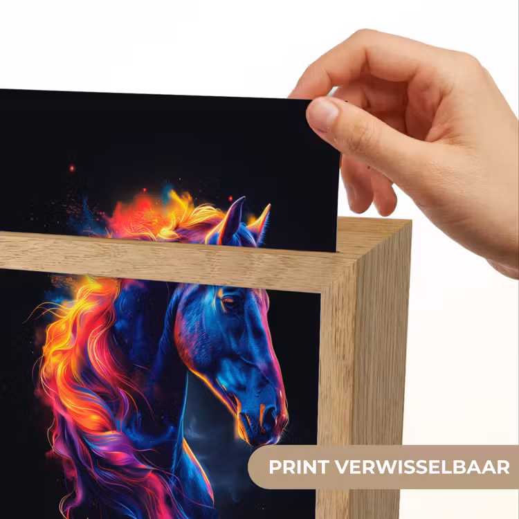 Paard - Dier - Rook - Zwart - Kleuren Light Box met kabel (Kinderlampje) klein -USP_websiteprintNL