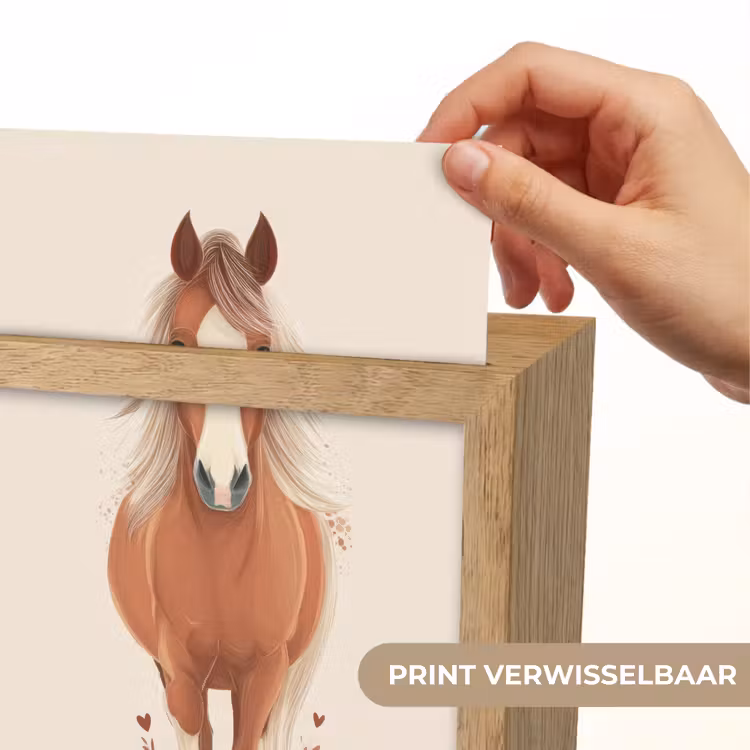 Paard - Galop - Bruin Light Box met kabel (Kinderlampje) klein -USP_websiteprintNL