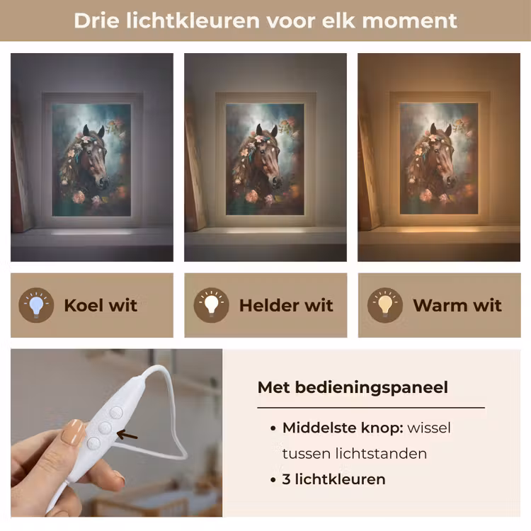 Paard - Natuur - Bloemen - Dieren - Bos Light Box met kabel klein -USP_lichtkleurNL