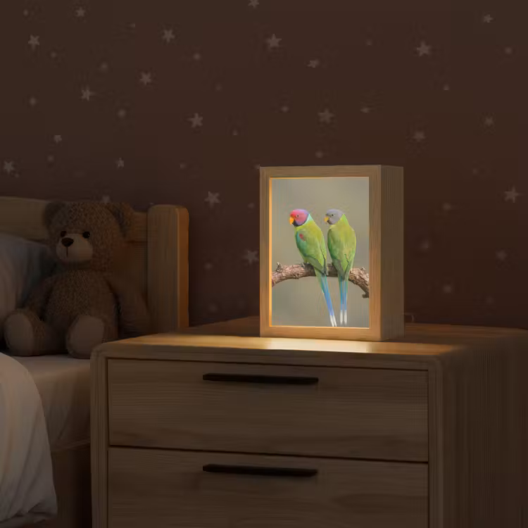 Papagaai - Tak - Natuur - Kleurrijk Light Box met kabel (Kinderlampje) klein -sfeer1_kind