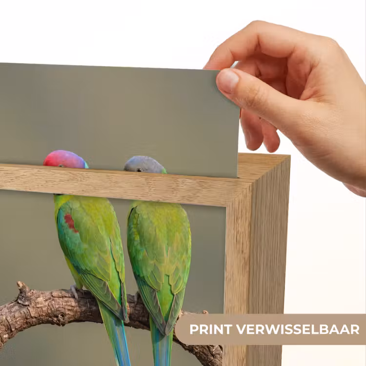 Papagaai - Tak - Natuur - Kleurrijk Light Box met kabel (Kinderlampje) klein -USP_websiteprintNL