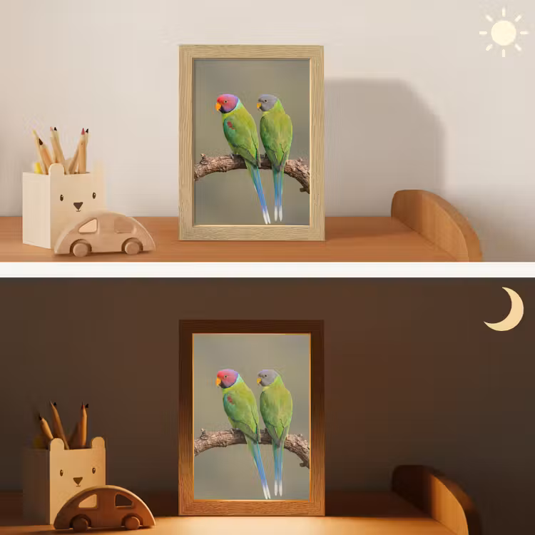 Papagaai - Tak - Natuur - Kleurrijk Light Box met kabel (Kinderlampje) klein -sfeer3_kind