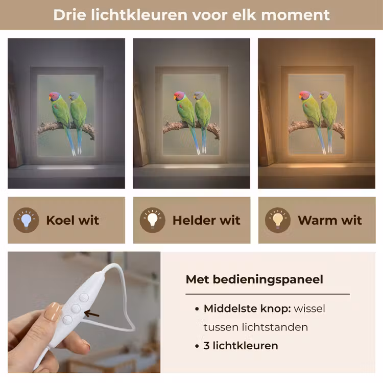 Papagaai - Tak - Natuur - Kleurrijk Light Box met kabel (Kinderlampje) klein -USP_lichtkleurNL