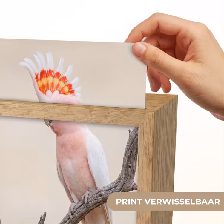 Papagaai - Tak - Roze Light Box met kabel (Kinderlampje) klein -USP_websiteprintNL