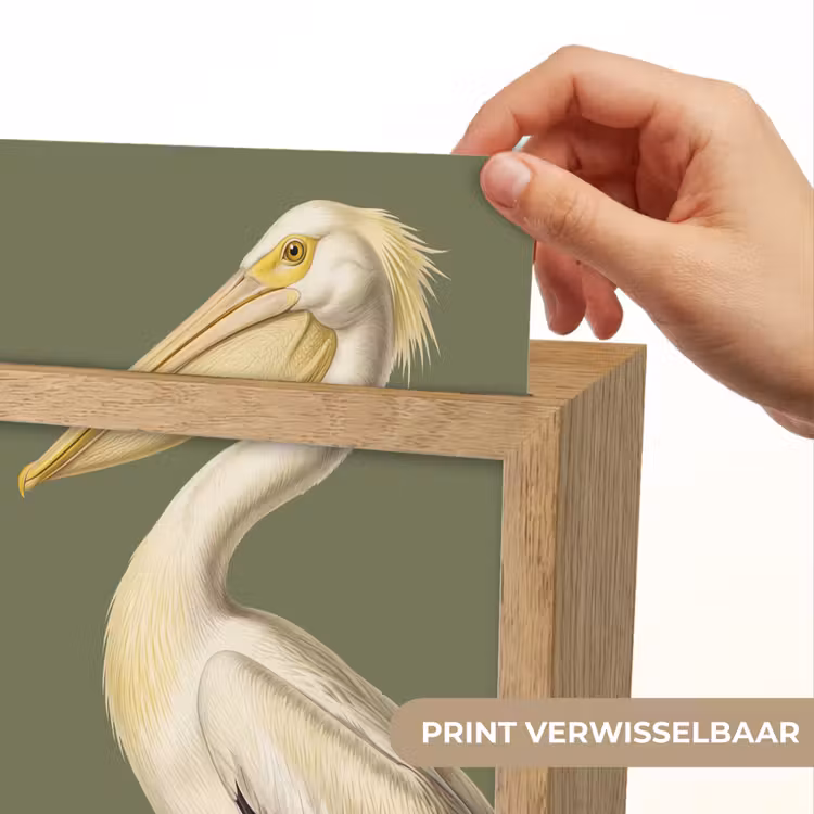 Pelikaan - Wit - Vogel - Klassiek - Natuur Light Box met kabel (Kinderlampje) klein -USP_websiteprintNL